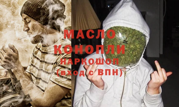 индика Гусь-Хрустальный