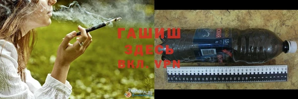 индика Гусь-Хрустальный