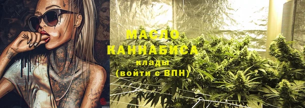 индика Гусь-Хрустальный