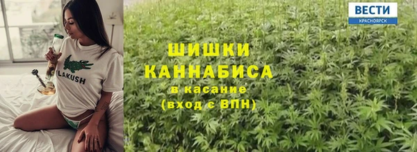 индика Гусь-Хрустальный