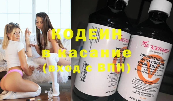 индика Гусь-Хрустальный