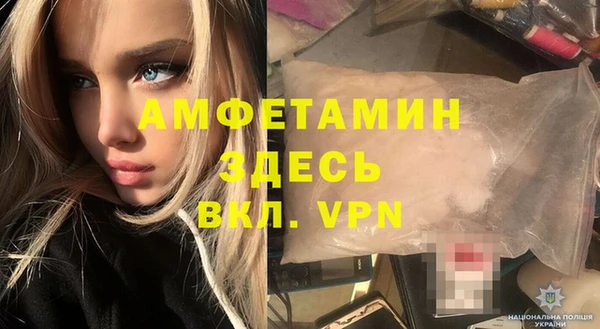 индика Гусь-Хрустальный