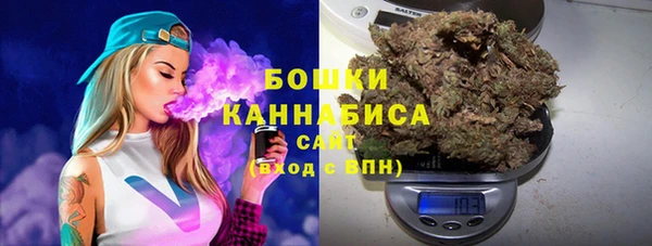 индика Гусь-Хрустальный