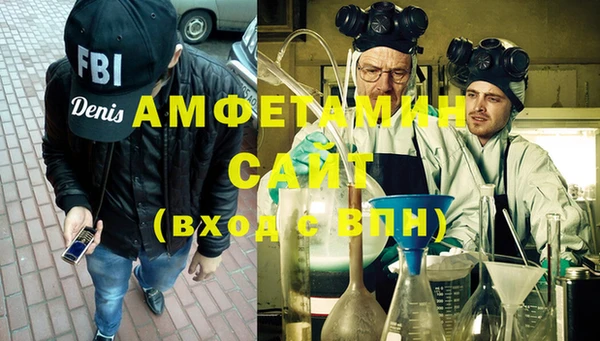 индика Гусь-Хрустальный