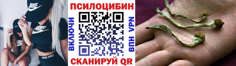 Галлюциногенные грибы Magic Shrooms  Миасс 